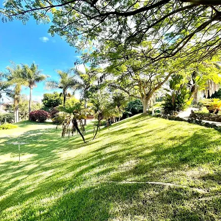 Bright Superior Studio With Free Wifi,pool, Terrace In Puerto De La Cruz Apartment Puerto de la Cruz (Tenerife)