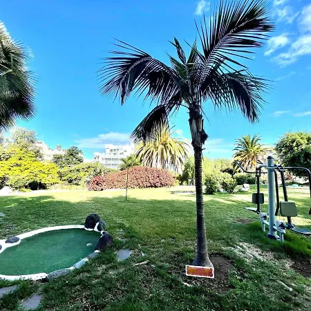 Bright Superior Studio With Free Wifi,pool, Terrace In Puerto De La Cruz *