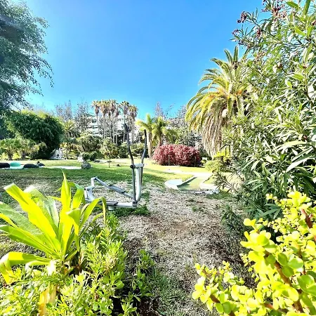 Bright Superior Studio With Free Wifi,pool, Terrace In Puerto De La Cruz Apartment *