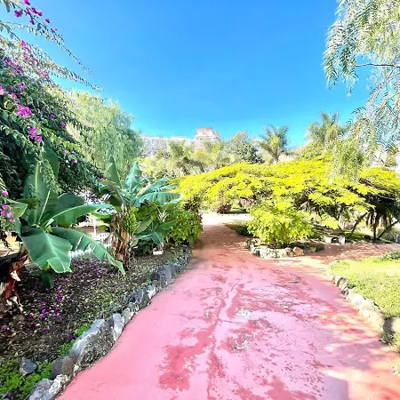 Bright Superior Studio With Free Wifi,pool, Terrace In Puerto De La Cruz Apartment *