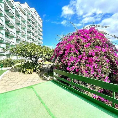 Bright Superior Studio With Free Wifi,pool, Terrace In Puerto De La Cruz Apartment *