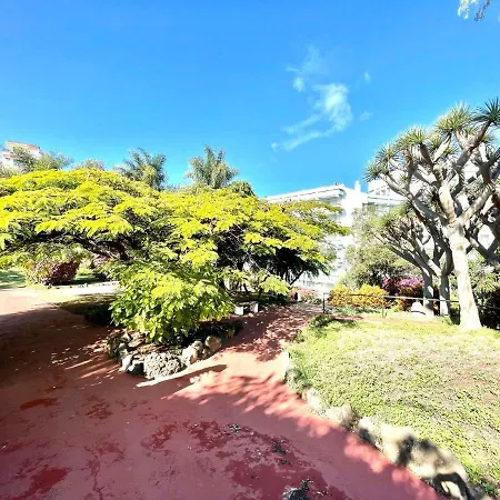 Bright Superior Studio With Free Wifi,pool, Terrace In Puerto De La Cruz * Puerto de la Cruz (Tenerife)