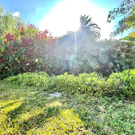Bright Superior Studio With Free Wifi,pool, Terrace In Puerto De La Cruz
