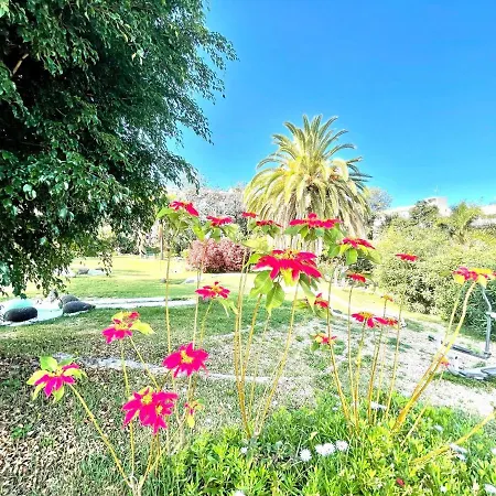 Apartman Bright Superior Studio With Free Wifi,pool, Terrace In Puerto De La Cruz