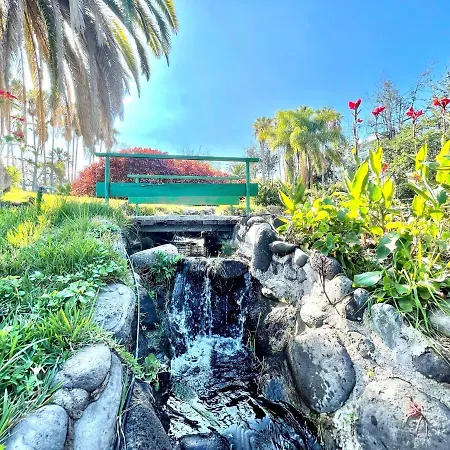 Bright Superior Studio With Free Wifi,pool, Terrace In Puerto De La Cruz Apartman Puerto de la Cruz