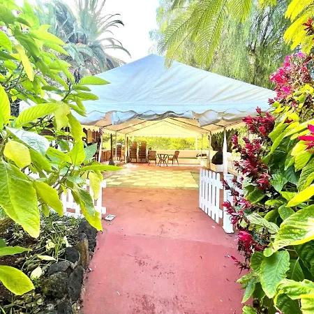 Bright Superior Studio With Free Wifi,pool, Terrace In Puerto De La Cruz * Puerto de la Cruz